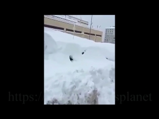 Вот какой снег-то бывает: жители Норильска потеряли в сугробах автомобили