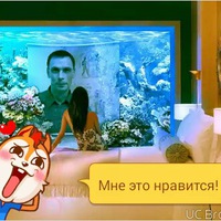 Аватар: Андрей Ефремов