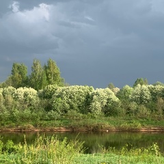 Екатерина Калиниченко : профиль, фото, статус - ВКонтакте