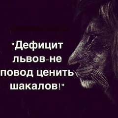 Фотография анкеты Майора Волонтира ВКонтакте